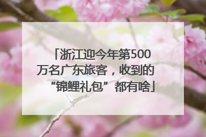 浙江迎今年第500万名广东旅客，收到的“锦鲤礼包”都有啥