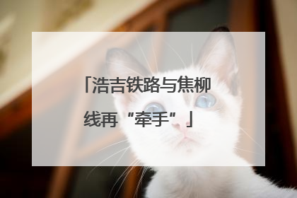 浩吉铁路与焦柳线再“牵手”