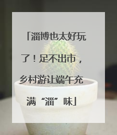 淄博也太好玩了！足不出市，乡村游让端午充满“淄”味