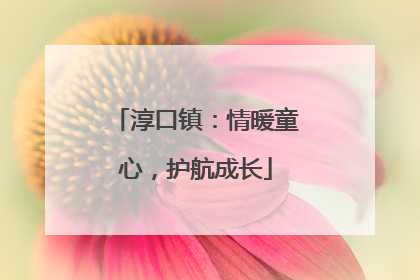 淳口镇：情暖童心，护航成长