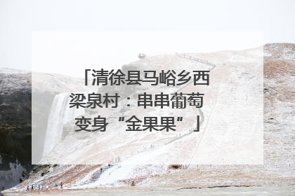清徐县马峪乡西梁泉村：串串葡萄变身“金果果”