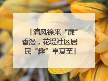 清风徐来“廉”香漫，花堤社区居民“趣”享夏至