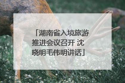 湖南省入境旅游推进会议召开 沈晓明毛伟明讲话
