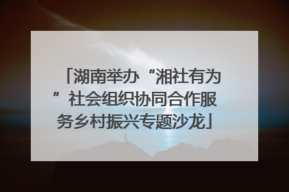 湖南举办“湘社有为”社会组织协同合作服务乡村振兴专题沙龙