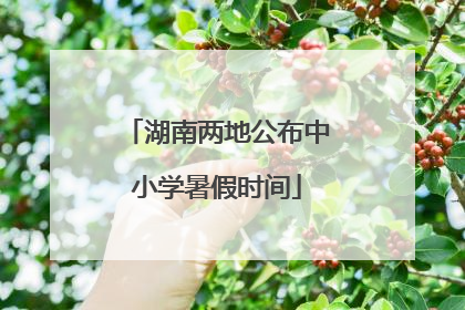 湖南两地公布中小学暑假时间