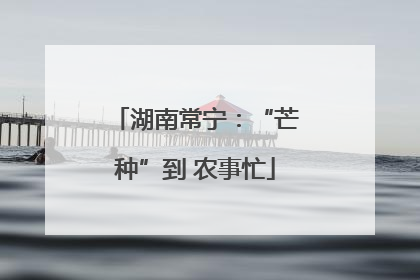 湖南常宁：“芒种”到 农事忙