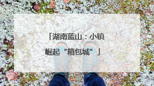 湖南蓝山：小镇崛起“箱包城”