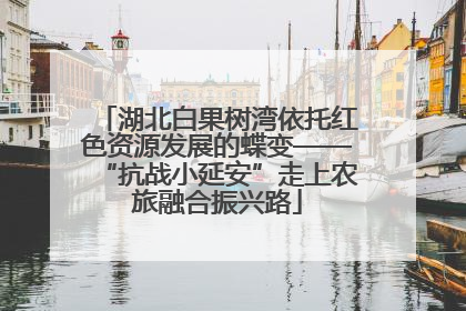湖北白果树湾依托红色资源发展的蝶变——“抗战小延安”走上农旅融合振兴路