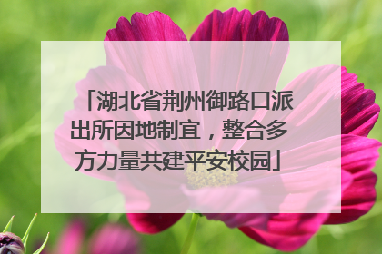 湖北省荆州御路口派出所因地制宜，整合多方力量共建平安校园