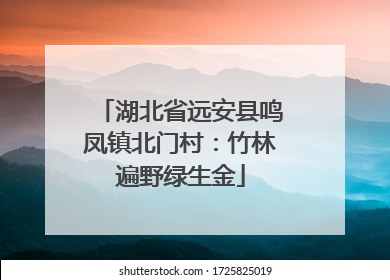 湖北省远安县鸣凤镇北门村：竹林遍野绿生金