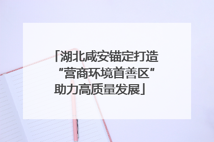 湖北咸安锚定打造“营商环境首善区”助力高质量发展