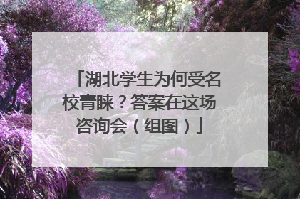 湖北学生为何受名校青睐？答案在这场咨询会（组图）