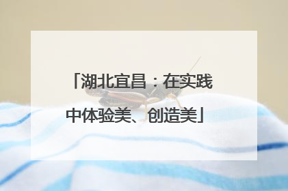 湖北宜昌：在实践中体验美、创造美