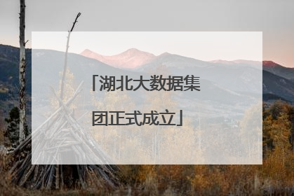 湖北大数据集团正式成立