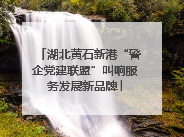 湖北黄石新港“警企党建联盟”叫响服务发展新品牌