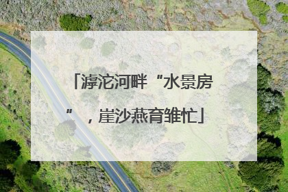 滹沱河畔“水景房”，崖沙燕育雏忙