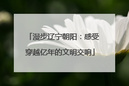 漫步辽宁朝阳：感受穿越亿年的文明交响
