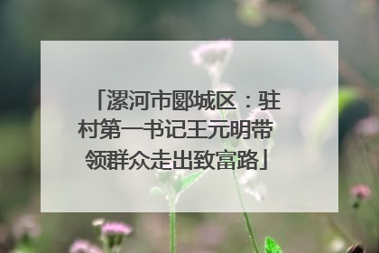 漯河市郾城区：驻村第一书记王元明带领群众走出致富路