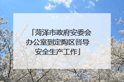 菏泽市政府安委会办公室到定陶区督导安全生产工作