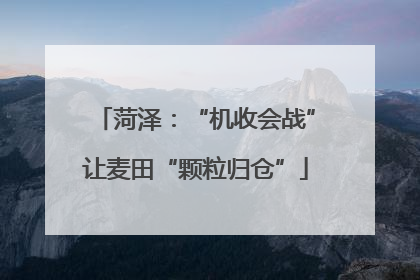 菏泽：“机收会战”让麦田“颗粒归仓”