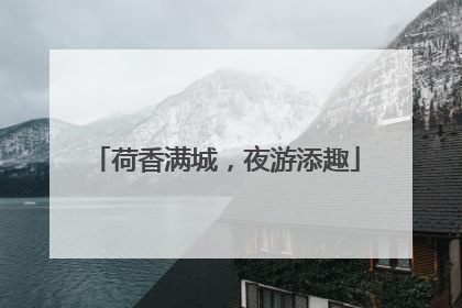 荷香满城，夜游添趣