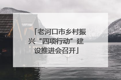 老河口市乡村振兴“四项行动”建设推进会召开