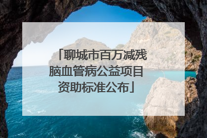 聊城市百万减残脑血管病公益项目资助标准公布