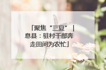 聚焦“三夏”｜息县：驻村干部奔走田间为农忙