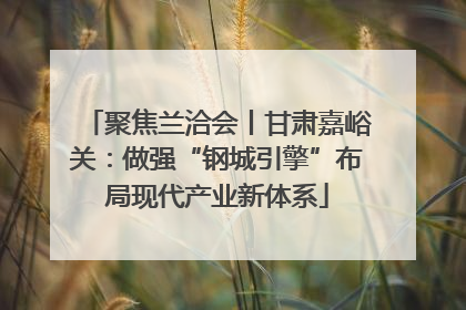 聚焦兰洽会丨甘肃嘉峪关：做强“钢城引擎”布局现代产业新体系