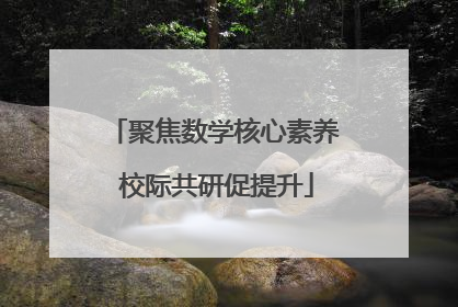 聚焦数学核心素养 校际共研促提升