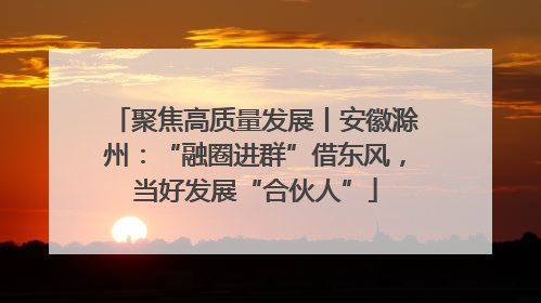 聚焦高质量发展丨安徽滁州：“融圈进群”借东风，当好发展“合伙人”