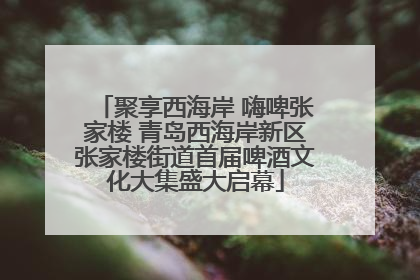 聚享西海岸 嗨啤张家楼 青岛西海岸新区张家楼街道首届啤酒文化大集盛大启幕