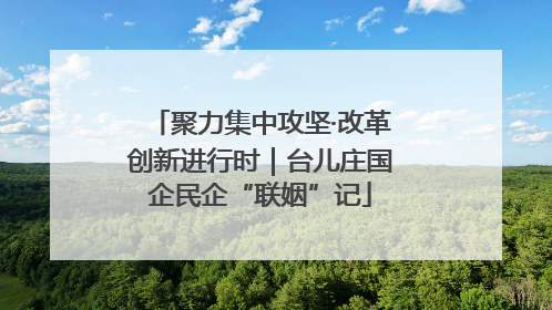 聚力集中攻坚·改革创新进行时｜台儿庄国企民企“联姻”记