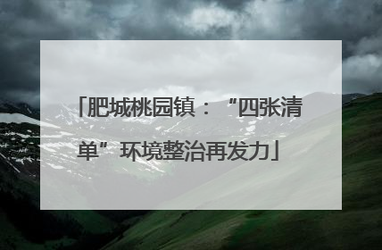 肥城桃园镇：“四张清单”环境整治再发力