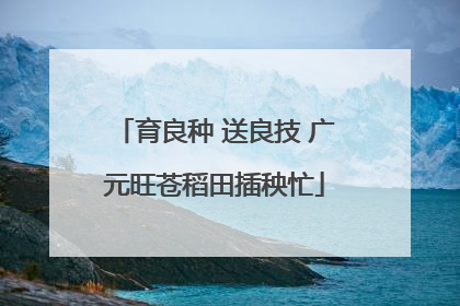 育良种 送良技 广元旺苍稻田插秧忙
