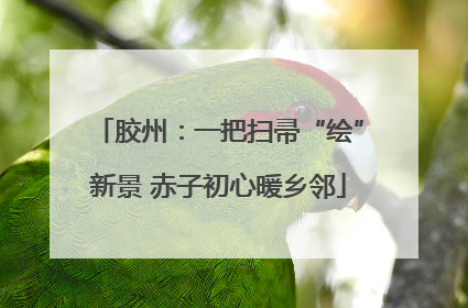 胶州：一把扫帚“绘”新景 赤子初心暖乡邻