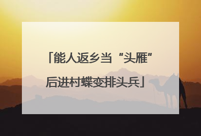 能人返乡当“头雁” 后进村蝶变排头兵