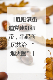 胜阳港街道党建红纽带，串起商居共治 “烟火圈”