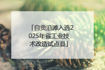 自贡沿滩入选2025年省工业技术改造试点县