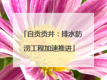 自贡贡井：排水防涝工程加速推进