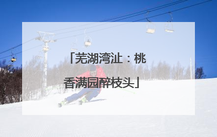 芜湖湾沚：桃香满园醉枝头