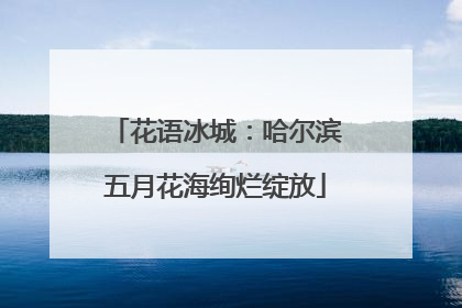 花语冰城：哈尔滨五月花海绚烂绽放