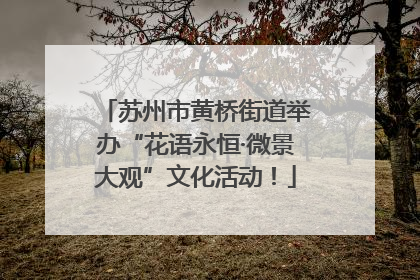 苏州市黄桥街道举办“花语永恒·微景大观”文化活动！