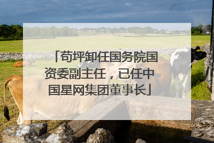 苟坪卸任国务院国资委副主任，已任中国星网集团董事长