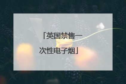 英国禁售一次性电子烟