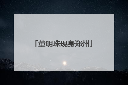 董明珠现身郑州