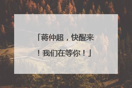 蒋仲超，快醒来！我们在等你！