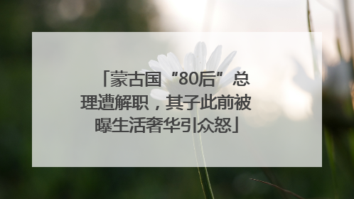 蒙古国“80后”总理遭解职，其子此前被曝生活奢华引众怒