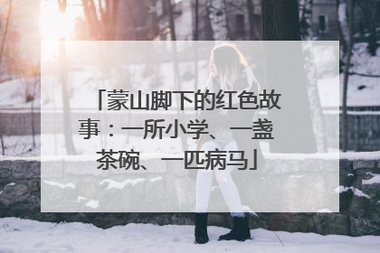 蒙山脚下的红色故事：一所小学、一盏茶碗、一匹病马