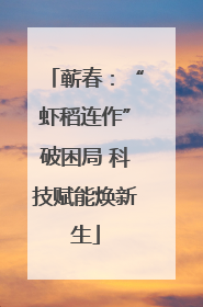 蕲春：“虾稻连作”破困局 科技赋能焕新生